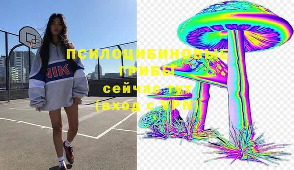 мдпв Верея