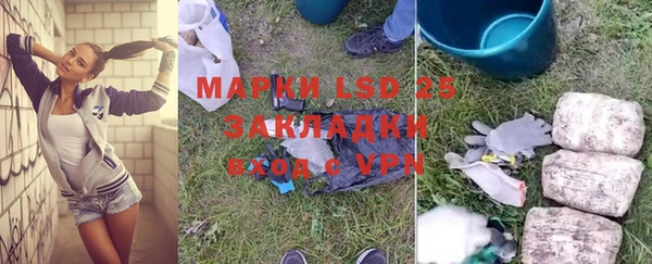 спайс Богданович