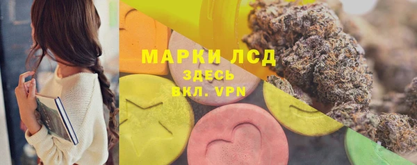 молекула духа Богородск