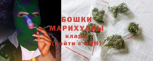 мдпв Верея